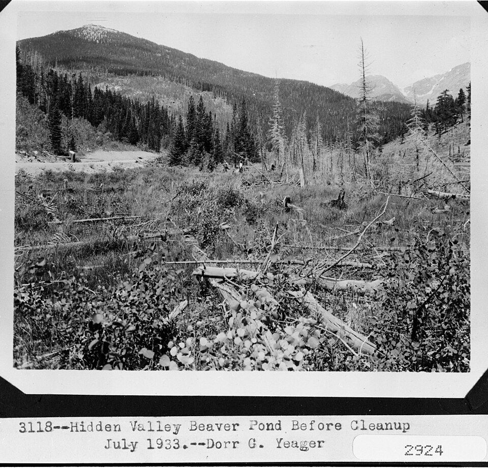 Beaver Ponds, Hidden Valley