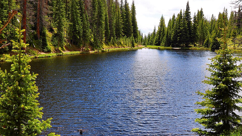 Irene, Lake